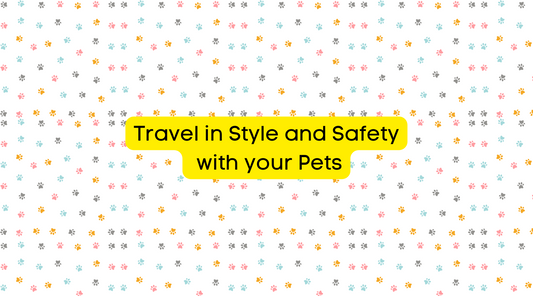 Travel in Style and Safety with your Pets